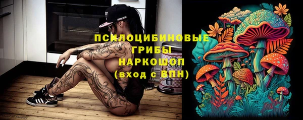 молекула духа Алексеевка