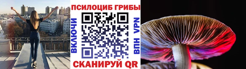кракен зеркало  Ковылкино  Псилоцибиновые грибы мухоморы  закладки 